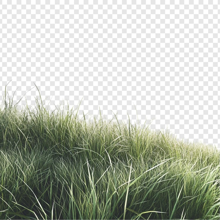 PSD Gratis ketenangan alam padang rumput hijau subur