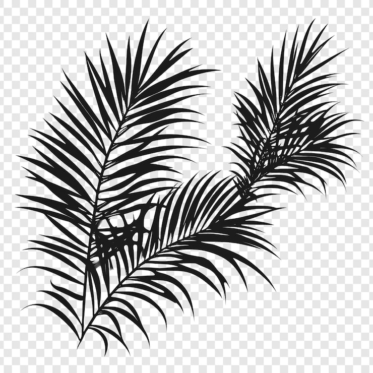 PSD gratuito l'elegante silhouette della palma è un elemento di design tropicale
