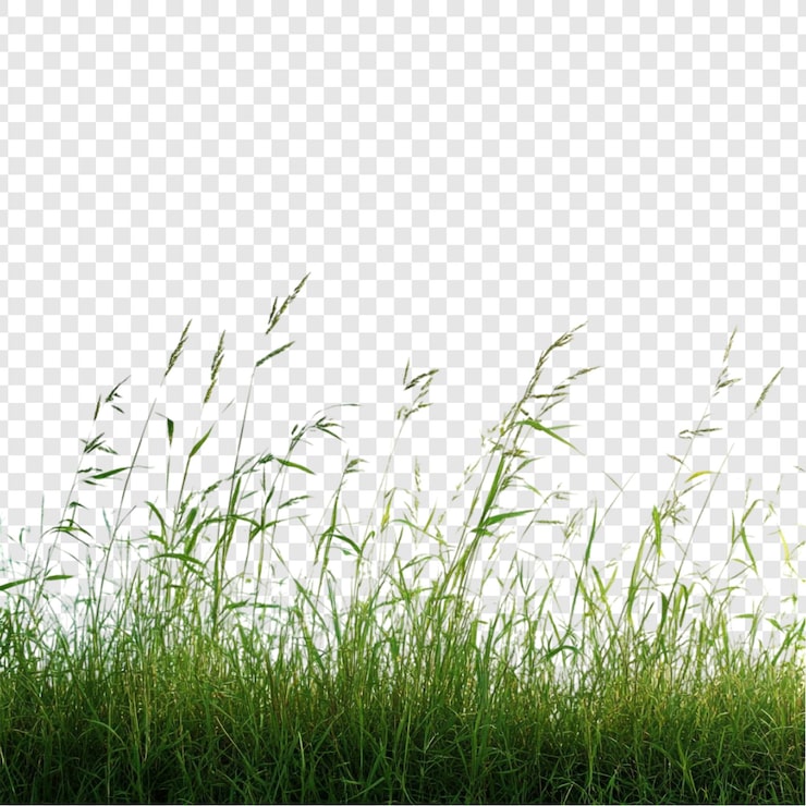 PSD Gratis lanskap padang rumput hijau yang subur
