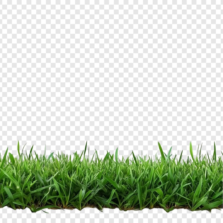 PSD Gratis perbatasan rumput hijau subur tekstur padang rumput karpet alam