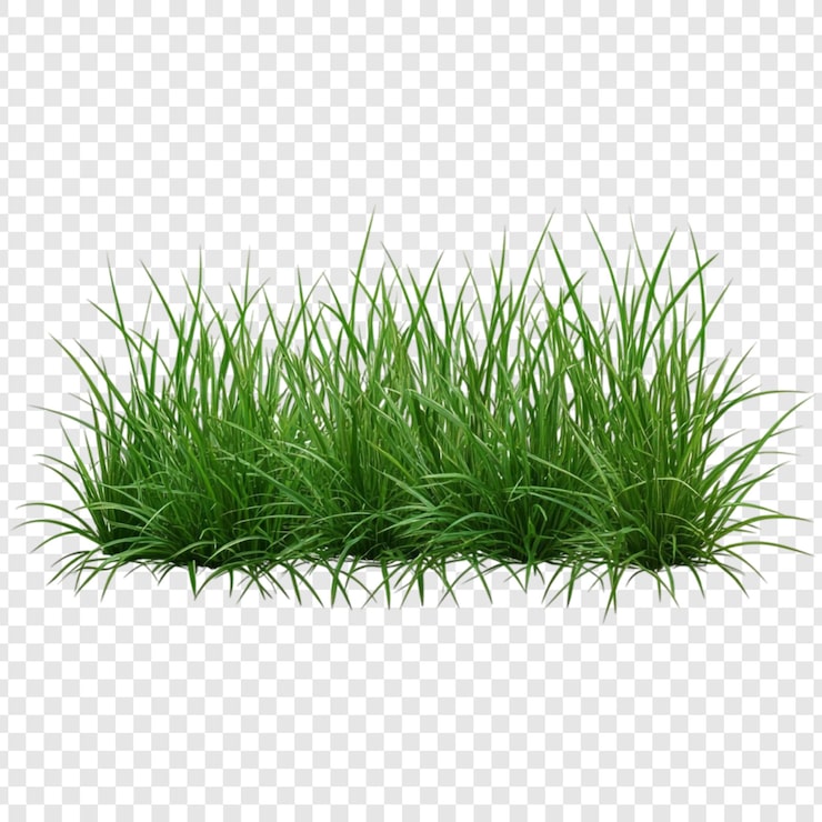 PSD Gratis petak rumput hijau subur render 3d yang semarak dari daun alami