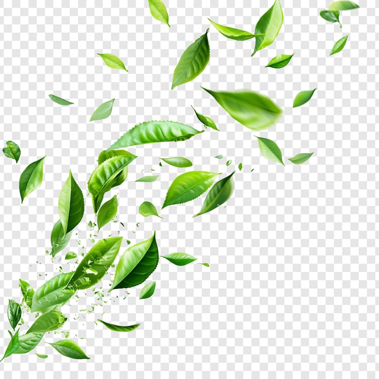 PSD gratuito el té verde vibrante deja en movimiento una ráfaga de frescura