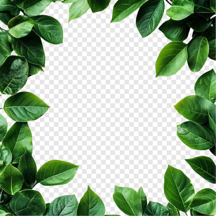 PSD gratuito vibrant green leaf border frame natures abraza perfecto para proyectos de diseño