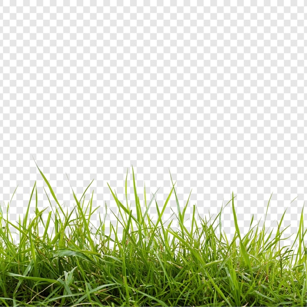 PSD gratuito vibrante textura de hierba verde un exuberante prado de primavera