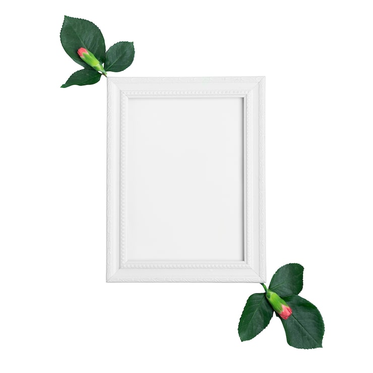 PSD gratuit arrangement floral isolé sur fond blanc