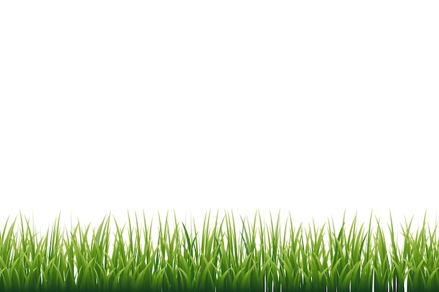 PSD gratuit bordure d'herbe isolée