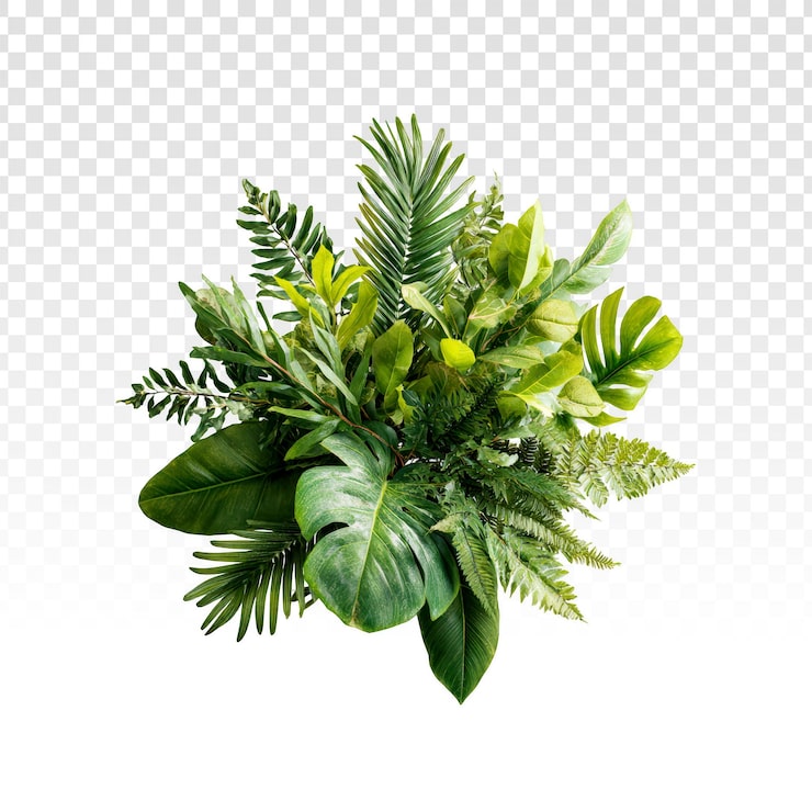 PSD gratuit composition de feuillage tropical vert luxuriant sur fond transparent