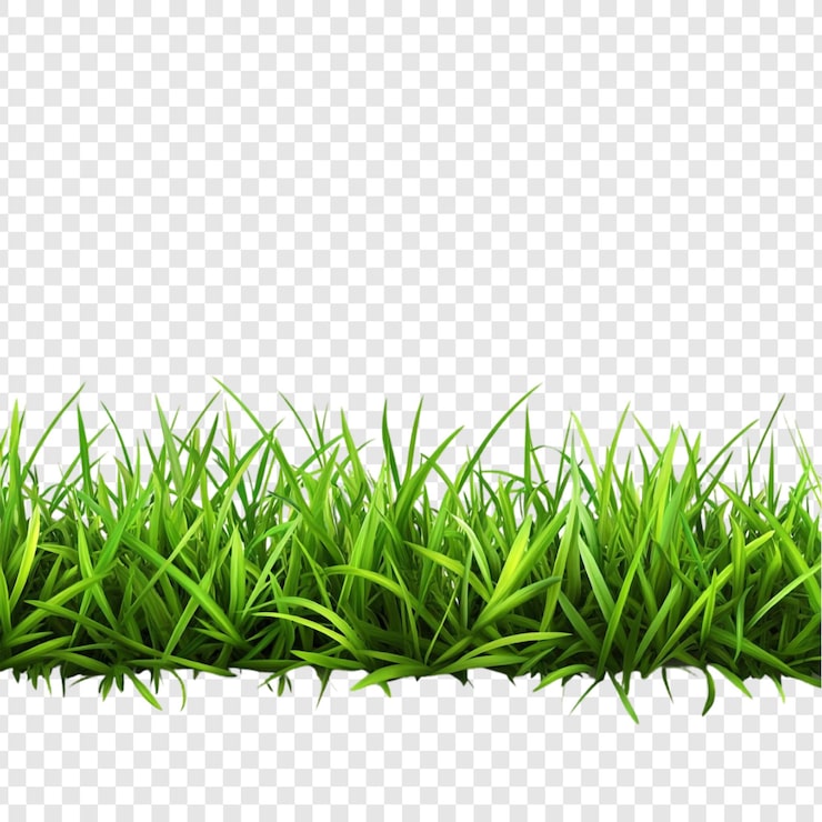 PSD gratuit l'illustration de la frontière de l'herbe verte vibrante