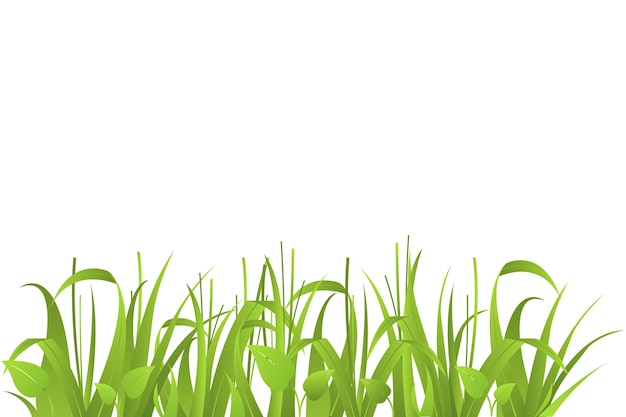 PSD gratuit illustration de l'herbe isolée