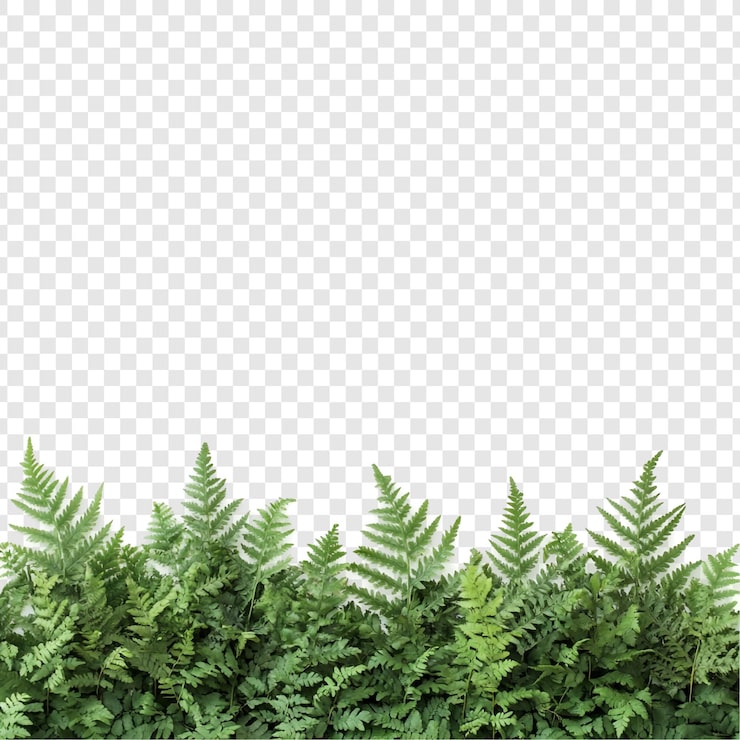 PSD gratuit la nature vibrante est parfaite pour les dessins et les arrière-plans.
