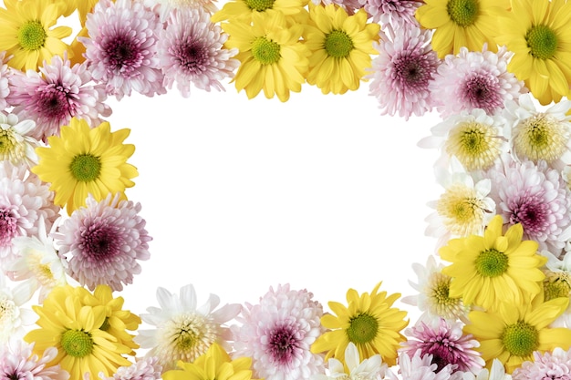 PSD gratuit vue de belles fleurs en fleurs