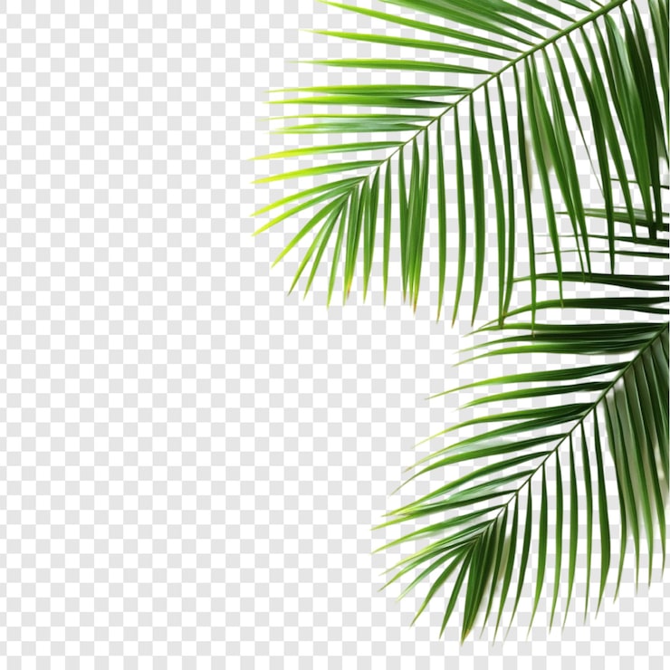 PSD grátis frondosas palmeiras verdes paraíso tropical