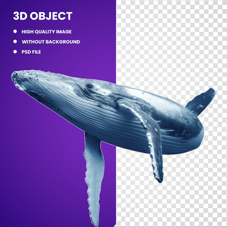 PSD 3d ballena jorobada ballena azul delfín delfín de nariz de botella común