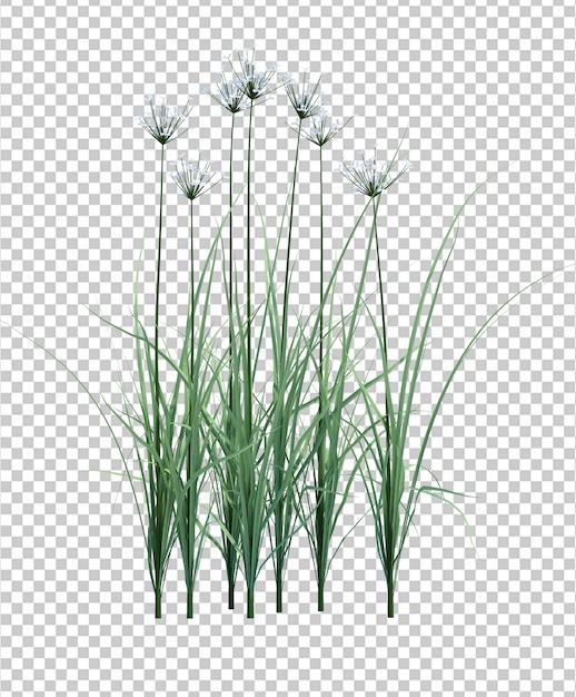 PSD 3d render brush tree aislado en blanco