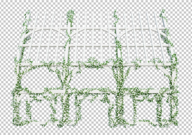 PSD 3d render piante di edera isolate