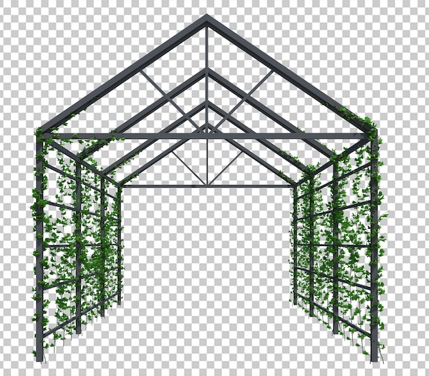 PSD 3d render piante di edera isolate