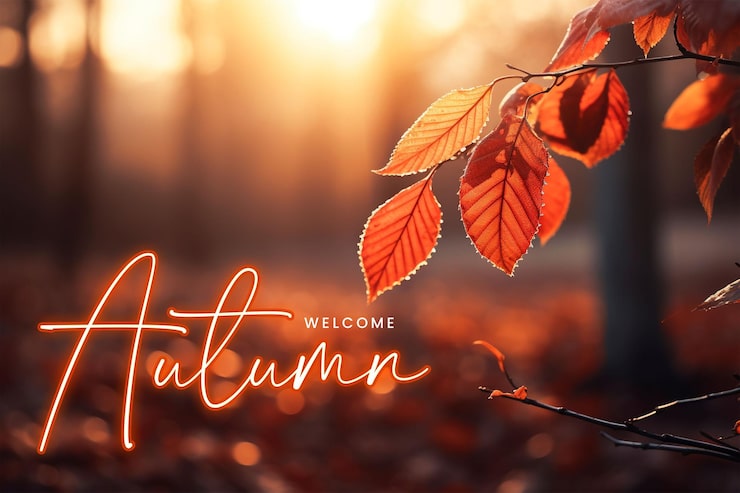 PSD une affiche joyeuse sur les réseaux sociaux de chuseok