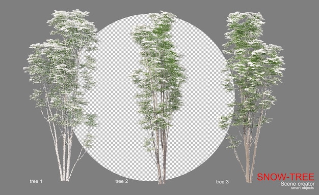PSD arbres avec une variété de neige