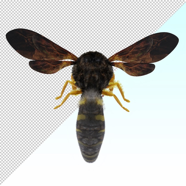 PSD avispa aislada