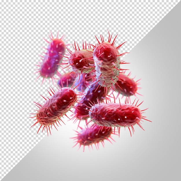 PSD bacterias aisladas en fondo blanco