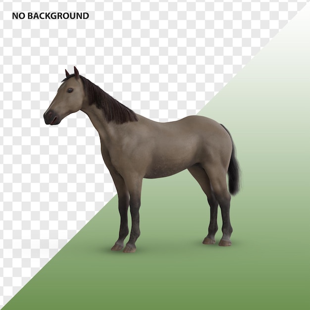 PSD caballo