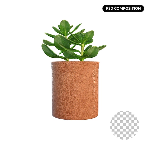 PSD cactus en maceta