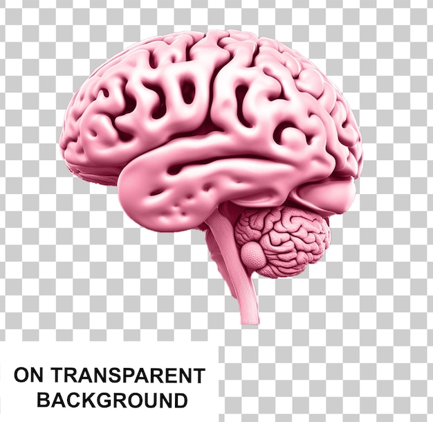 PSD cerebro