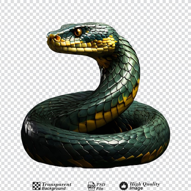 PSD cobra isolada em fundo transparente