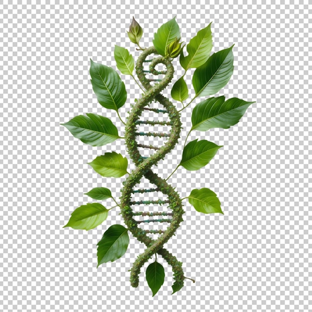 PSD code der naturen
