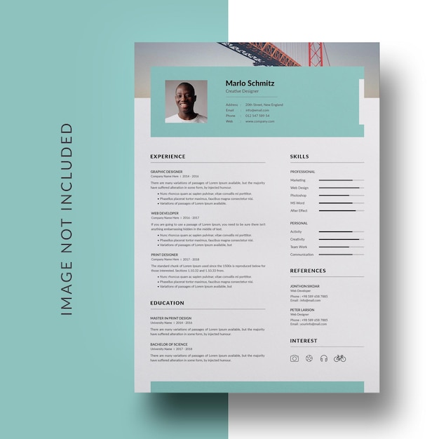 PSD curriculum professionale