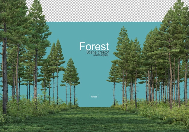 PSD différentes formes de forêt