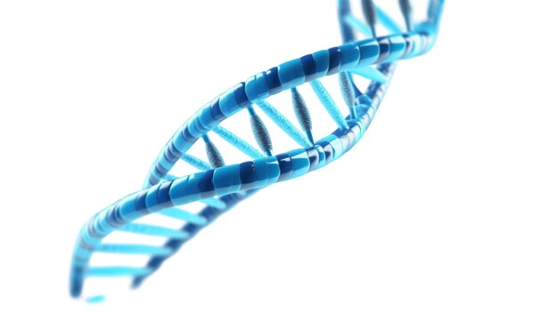 PSD dna heliks ganda