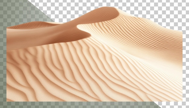 PSD des dunes de sable ondulées sous le soleil éclatant
