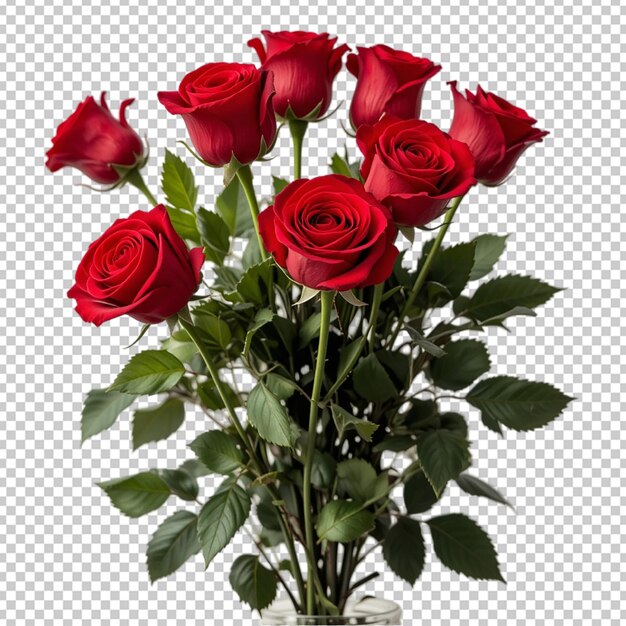 PSD durchsichtiger roter rose-hintergrund