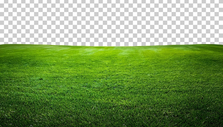 PSD elément de conception découpé de la vue avant du champ d'herbe verte