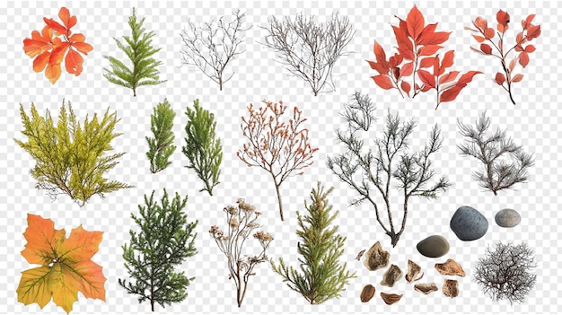 PSD ensemble d'éléments de nature