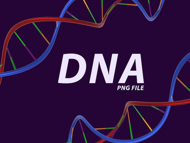 PSD file png dna