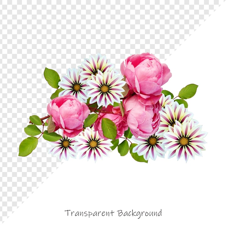 PSD des fleurs de roses avec un fond transparent