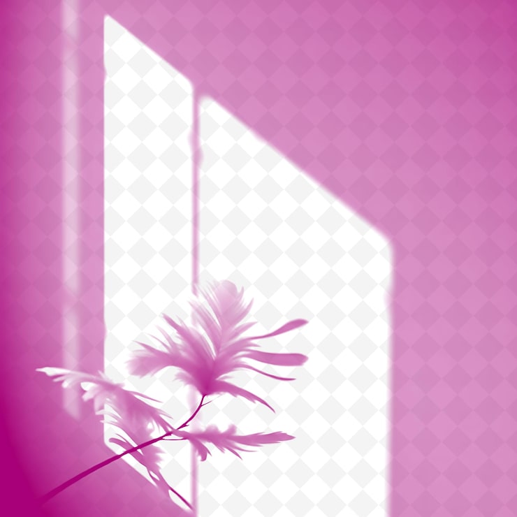 PSD un fondo rosado con una flor y un fondo rosa con un fondo rosa