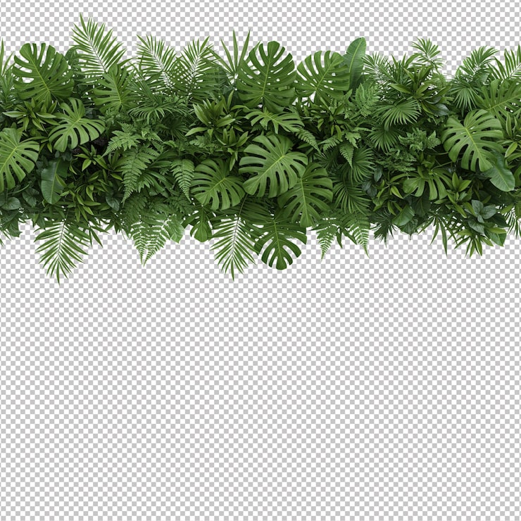 PSD fronteira de folhagem tropical exuberante em fundo branco