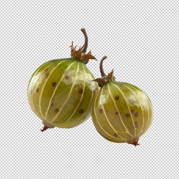 PSD gooseberry indiano isolato