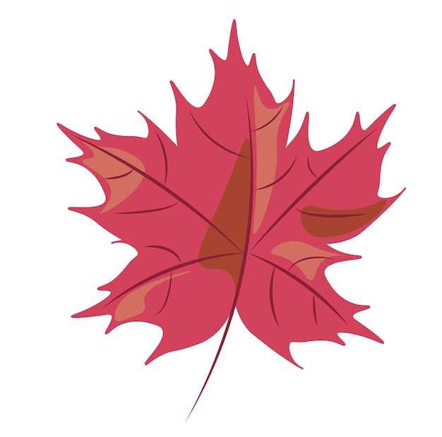 PSD graphique des feuilles