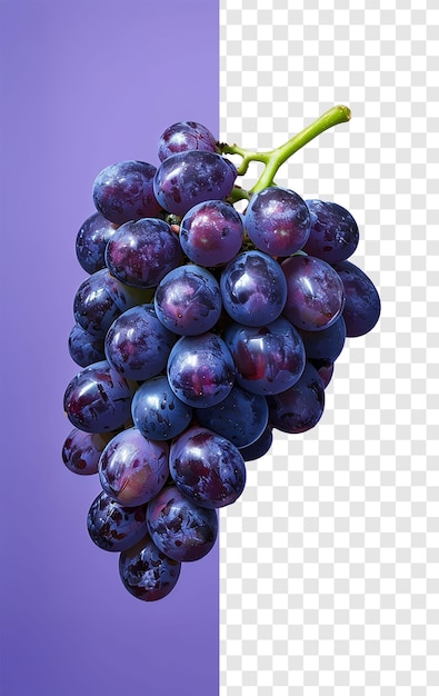 PSD grappolo rigoglioso di uva viola