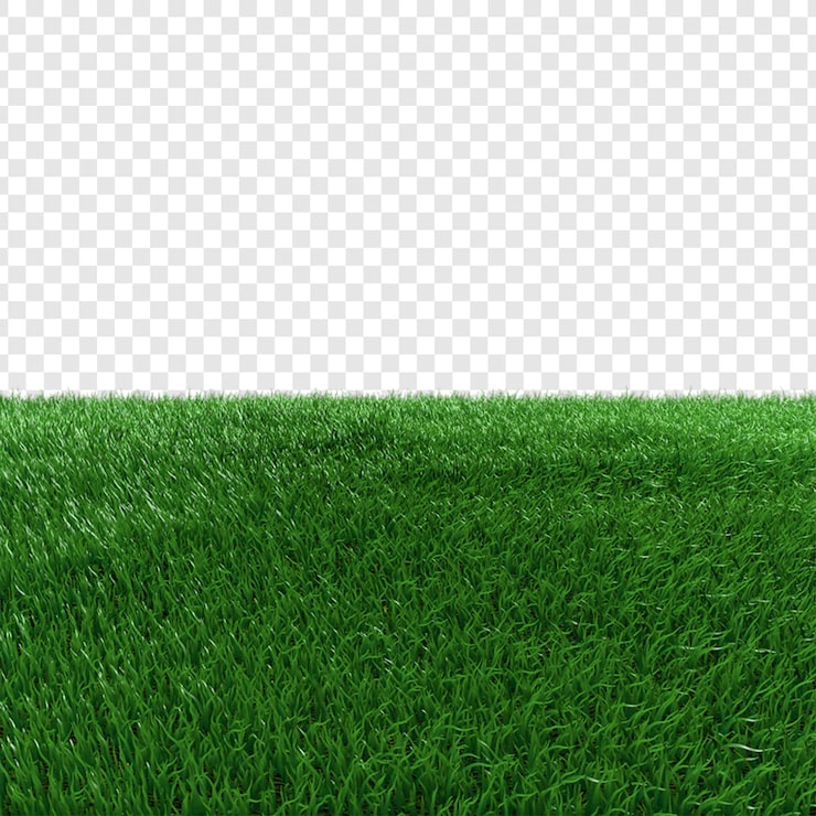 PSD un gros plan de l'herbe verte et vibrante