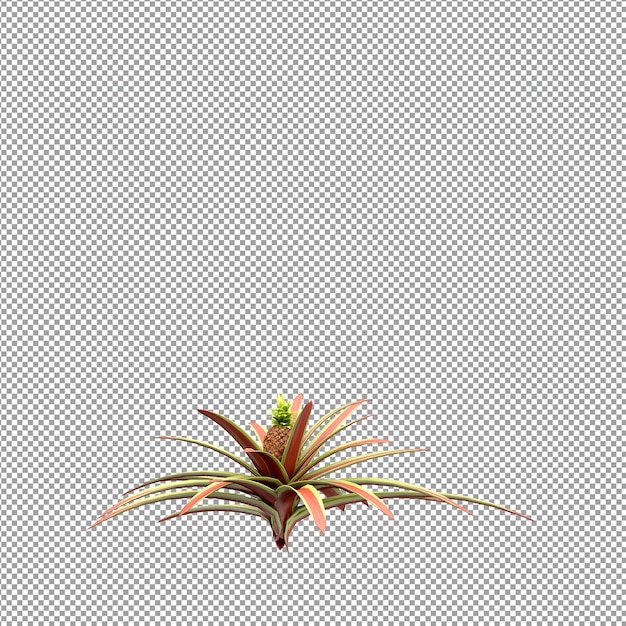 PSD hermosas plantas aisladas en 3d