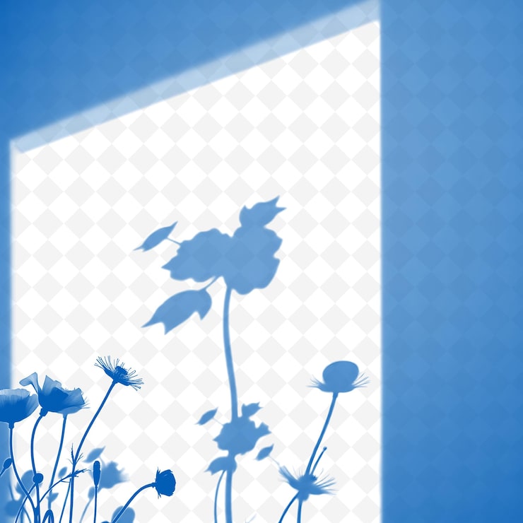 PSD hojas de amapola y sombras de paja tejida que crean una sombra de png de textura suave