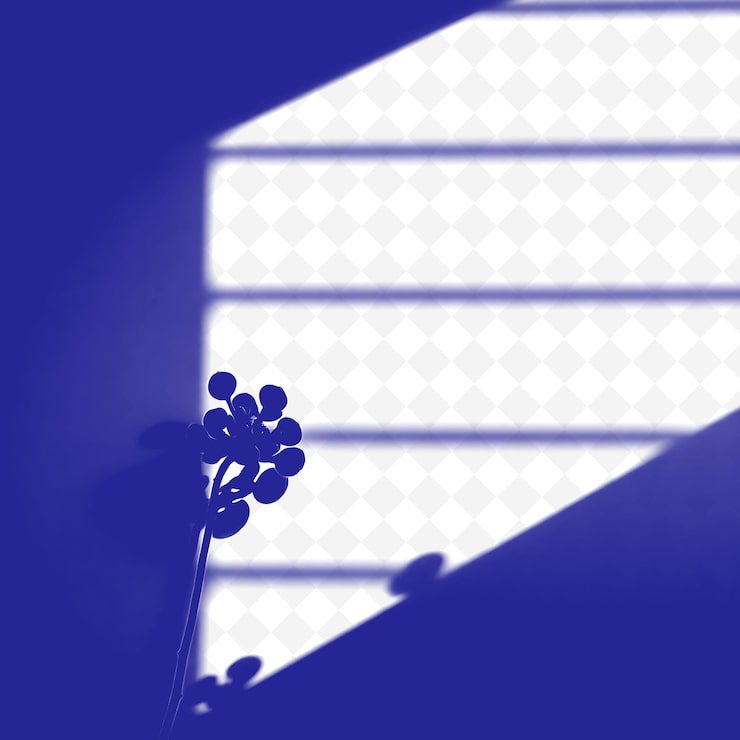 PSD hojas suculentas ejectación de sombras formas carnosas redondeadas suave diferencia png sombra ejectación ilustración