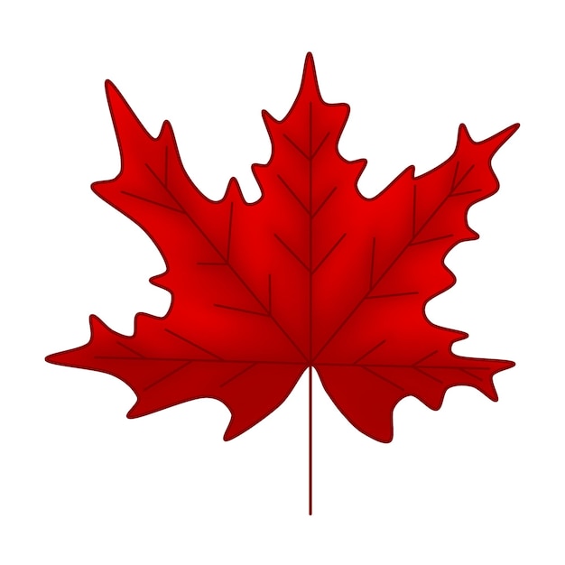 PSD illustration en raster d'une feuille d'érable rouge