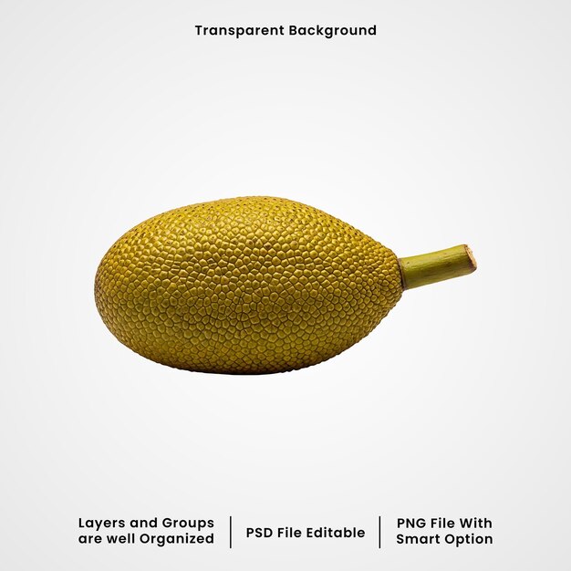 PSD jackfruit isolato
