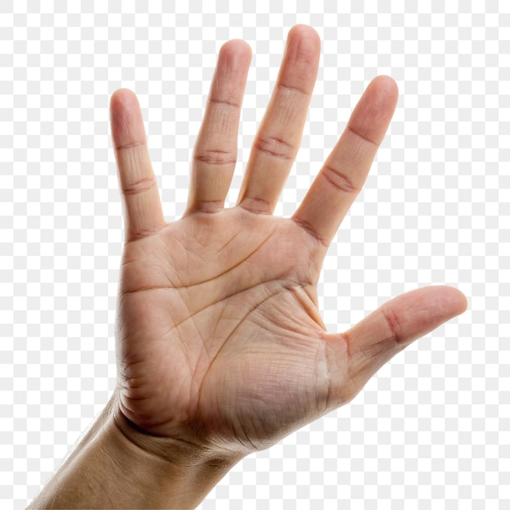 PSD la mano aislada sobre un fondo transparente